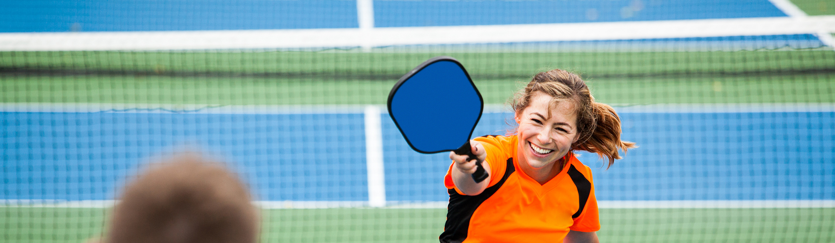 Wallyball Schaumburg Park District